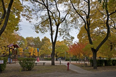 Playground in fall colors