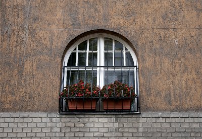 Flowered window