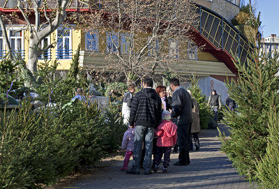 Christmas tree lot at Lehel Csarnok