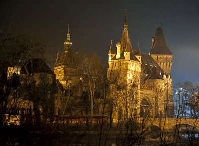 Vajdahunyad Castle at night