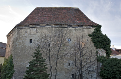 Castle fortifications