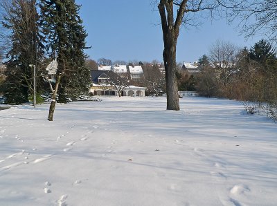 Reveling in the snow