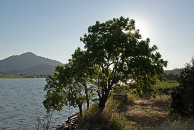 Tamalpais view