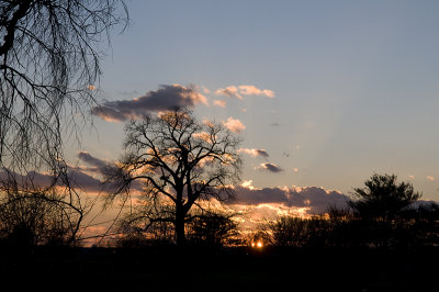 Sunset at Hains Point