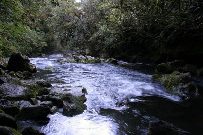 Riwaka River 2