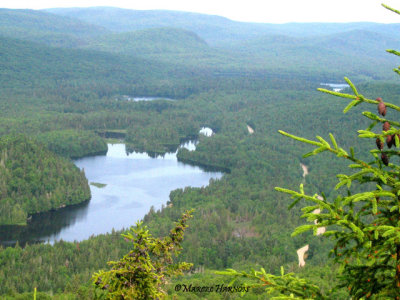 LANAUDIÈRE ORNITHOLOGIQUE