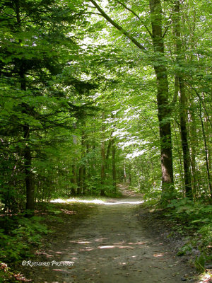 Sentiers de la Presqu'Île, Repentigny- Le Gardeur 001P.jpg