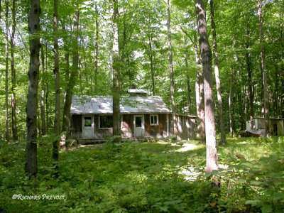 Sentiers de la Presqu'Île, Repentigny- Le Gardeur 005P.jpg