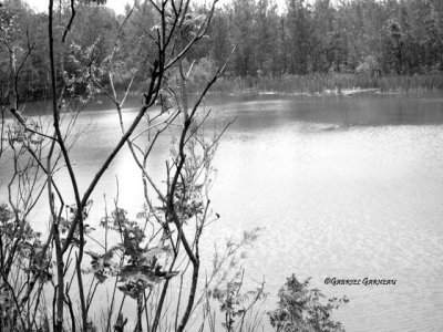 Chemin Quintal, Terrebonne - Lachenaie P.jpg