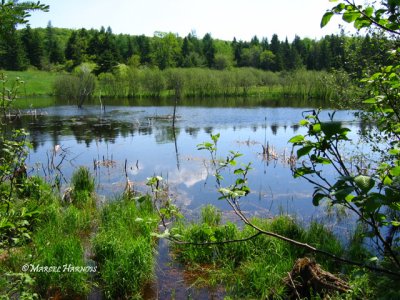 Parc de conservation Henri-Pontbriand Rawdon 035P.jpg