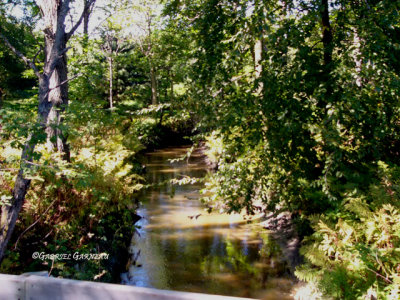 g4/38/686838/3/90713839.y8f3pnoR.jpg