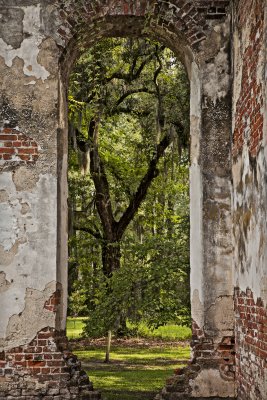 Old Sheldon Church in Yamacee SC 23r.jpg