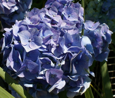 DSC05459.JPG