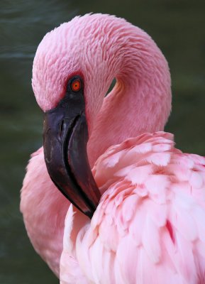+IMG_66891.JPG