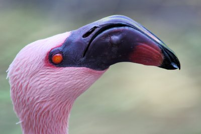 +IMG_66912.JPG