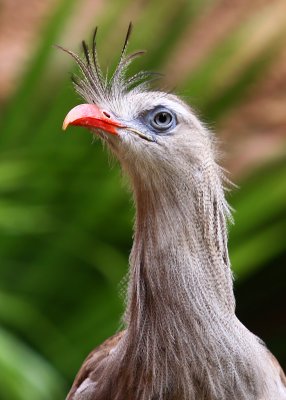 IMG_66720.JPG