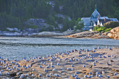 Tadoussac