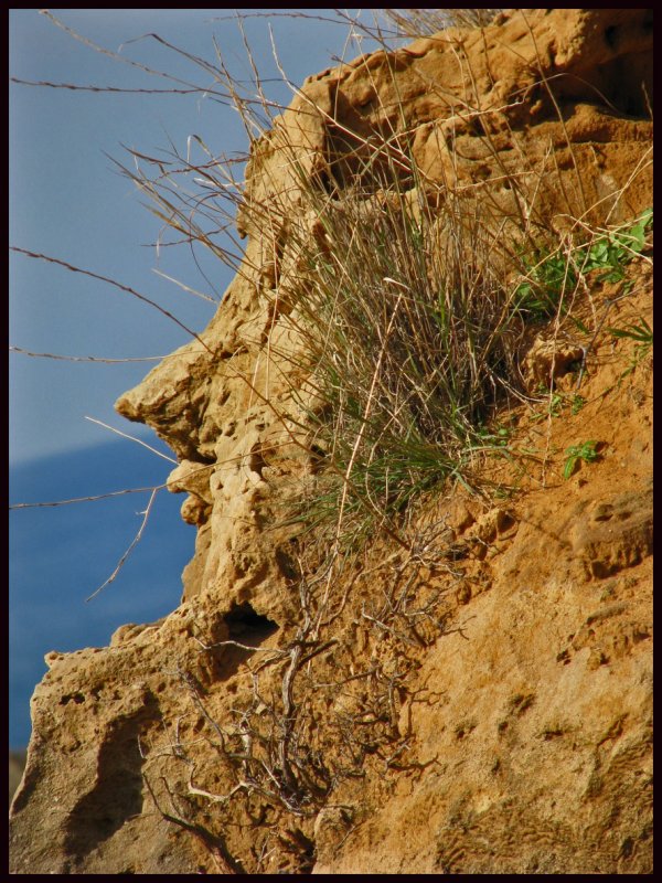 Crete Face Mimetolith