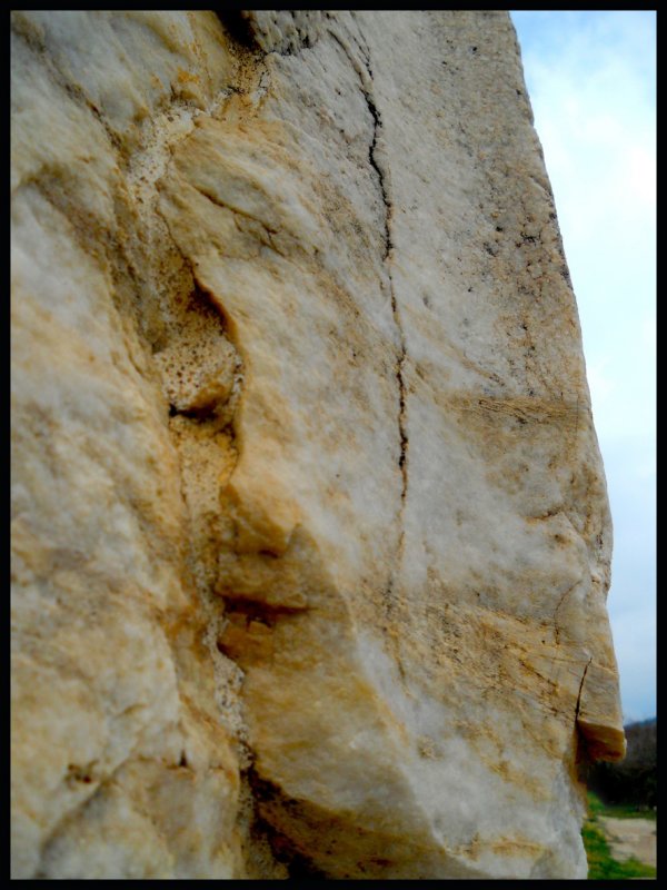 face A copy.jpg