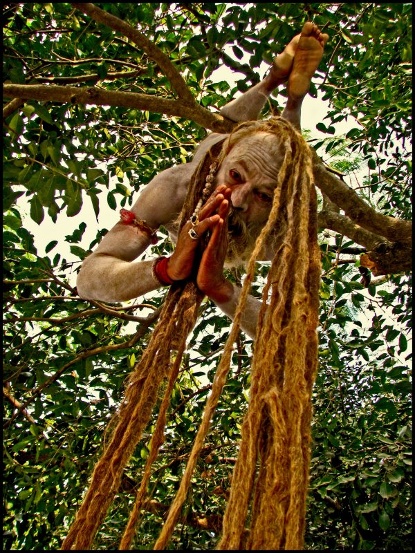sadhu hanging.jpg