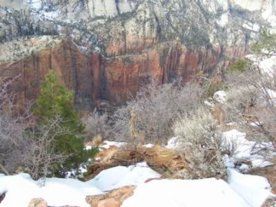 Zion-Winter-07 322.jpg