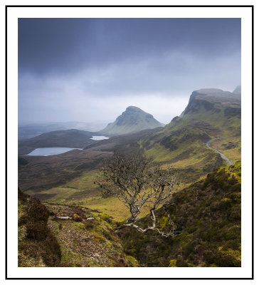 28Mar12 Quiraing Tree