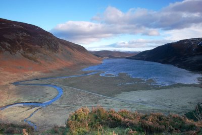 2008_01_20_007.jpg