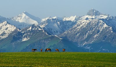 _DSC3043.jpg