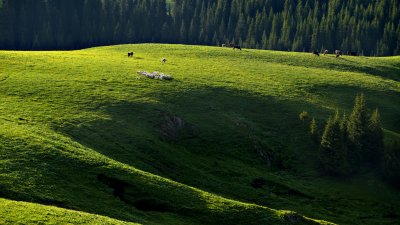 _DSC3095.jpg