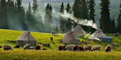 _DSC3757.jpg
