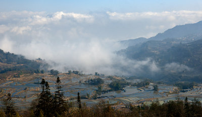 _DSC9656.jpg