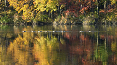 _DSC7561-4.jpg