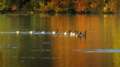 _DSC7904a.jpg