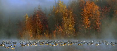 _DSC8517-18a.jpg