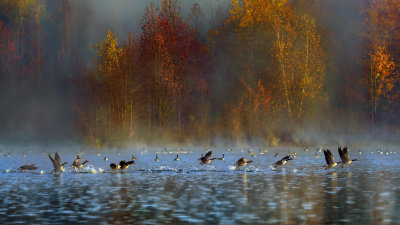 _DSC8596b.jpg
