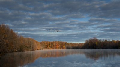 _DSC9005a.jpg