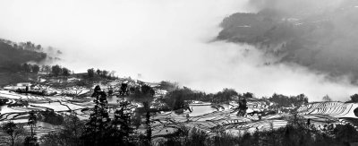 _DSC1162-68a.jpg