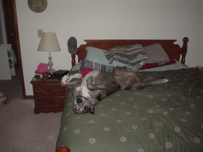 DSC00092.JPG