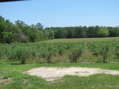 IMG_0377.JPG