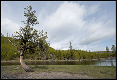 Yellowstone