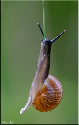 a_D802602.jpg