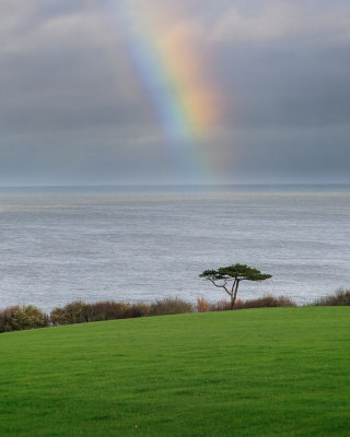 Ardgillan Rainbow