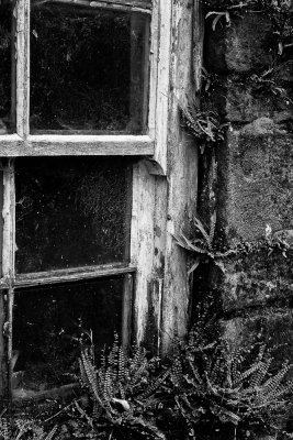 The Window