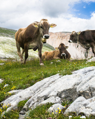 Italy - Dolomites 2009