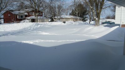 The rest of the front yard
