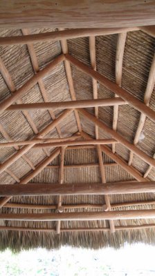 Roof and rafters of a tiki hut