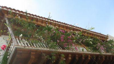 Flowery balcony