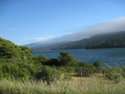 The fog rolled in over the lake