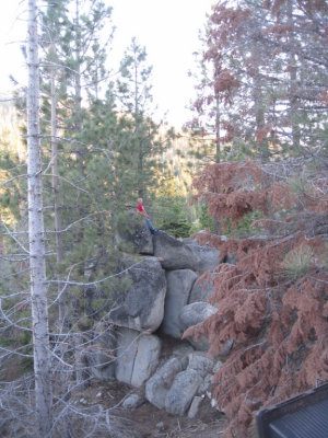 Luke on the rocks beside the house