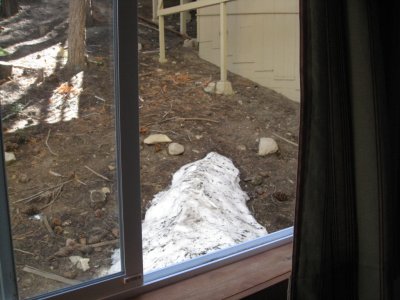 Snow outside Steve's window